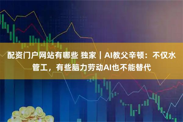 配资门户网站有哪些 独家｜AI教父辛顿：不仅水管工，有些脑力劳动AI也不能替代